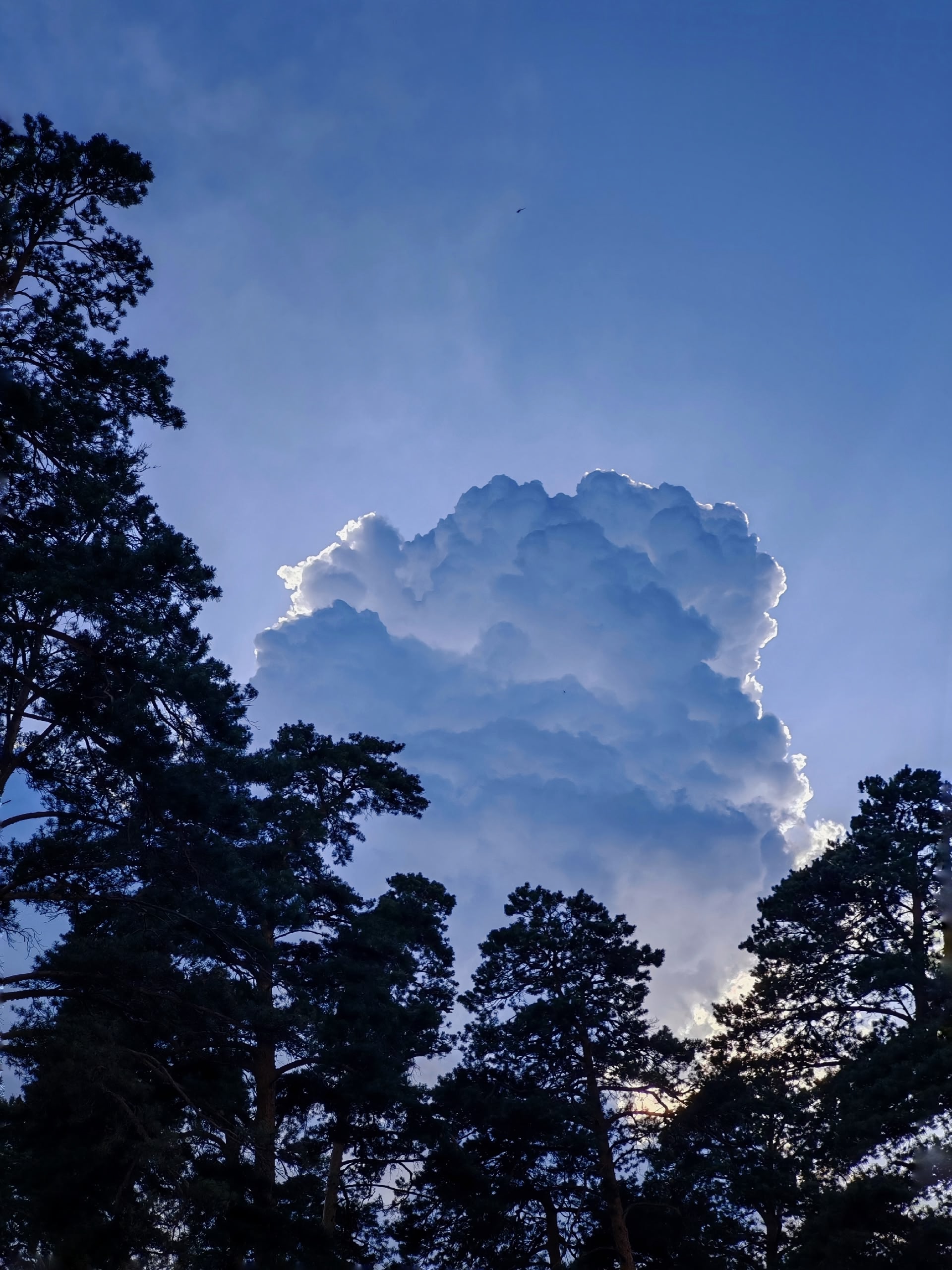 Do I like psychiatry?