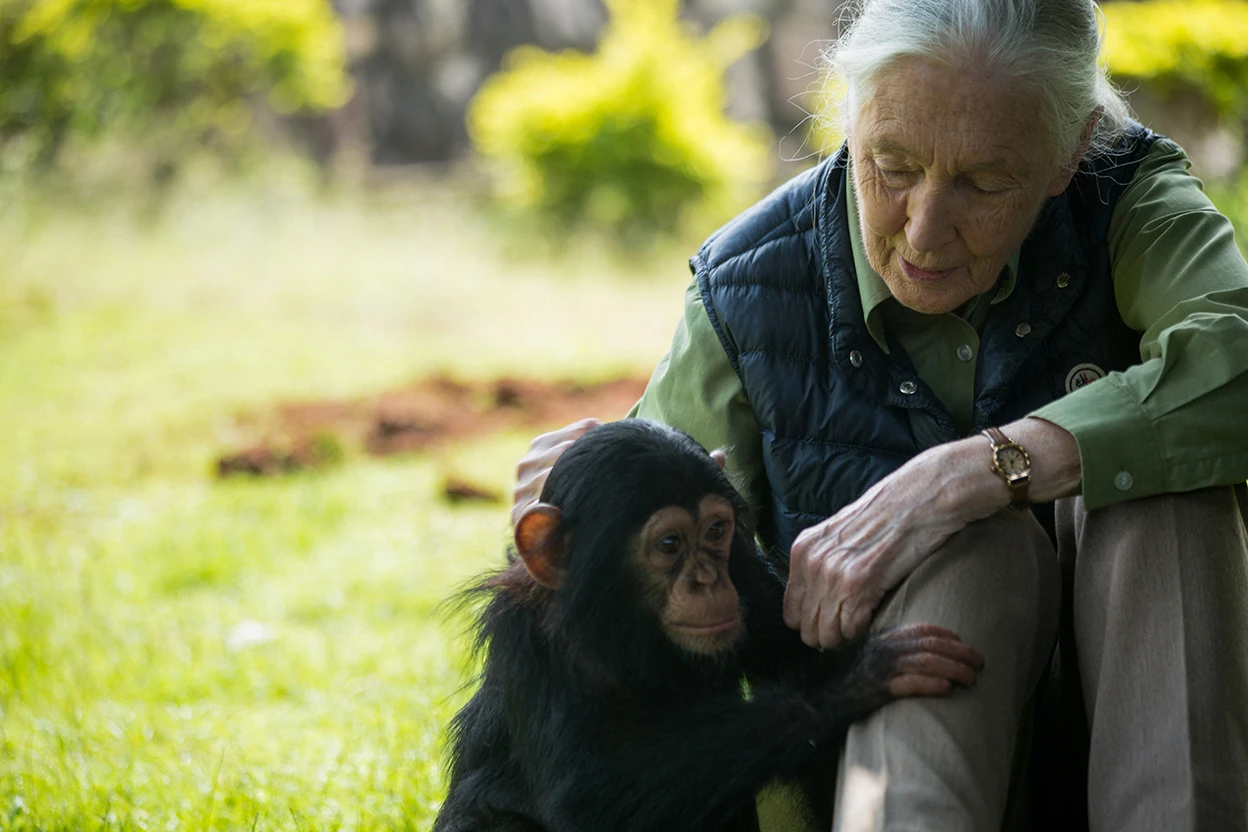 Jane Goodall’s ...: three ways she changed science